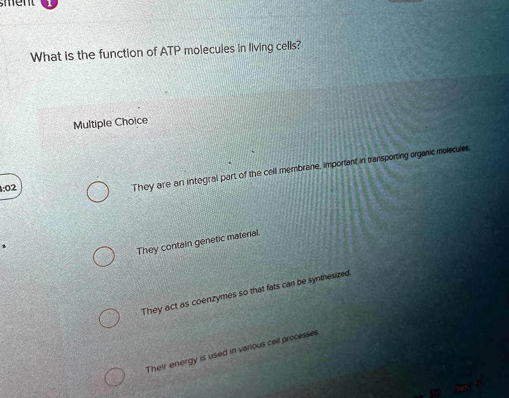 [GET ANSWER] what is the function of atp molecules in living cells ...