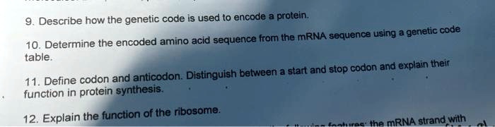 describe how the genetic code is used to encode protein sequence from ...