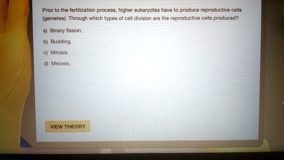 SOLVED Prior to the fertilization process, higher eukaryotes have to