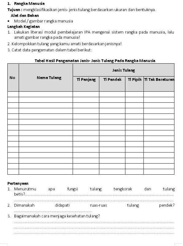 SOLVED: Mohon Bantuannya Kak Rangka Manusia Tujuan Mergklasifikasikan ...