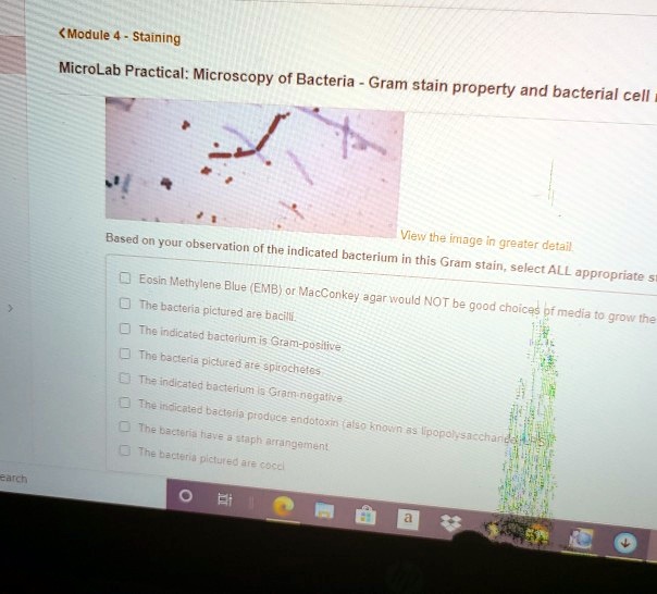 Module Staining Microlab Practical Microscopy Of Bacteria Gram Stain Property And Bacterial