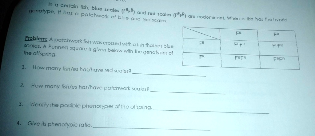 SOLVED: Please Help Me. I Need Help With Passing This Tomorrow. A ...