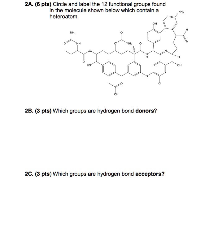 SOLVED: 2A. (6 pts) Circle and label the 12 functional groups found in ...