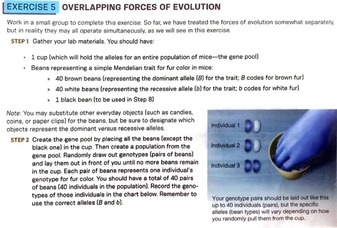 EXERCISE 5: OVERLAPPING FORCES OF EVOLUTION Work in small groups to ...