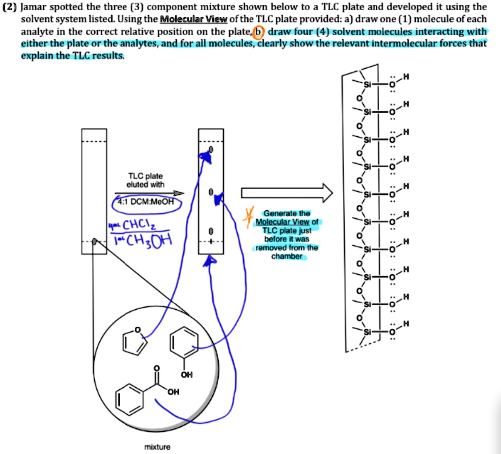 SOLVED Jamar spotted the mixture shown below onto a