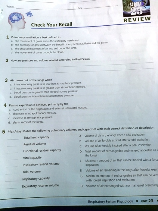 Check Your Recall
1 Pulmonary ventilation is best defined as
a. the movement of gases across the respiratory membrane.
b. the exchange of gases between the blood in the systemic capillaries and the tissues.
c. the physical movement of air into and out of the lungs.
d. the movement of gases through the blood.
2 How are pressure and volume related, according to Boyle's law?
3 Air moves out of the lungs when
a. intrapulmonary pressure is less than atmospheric pressure.
b. intrapulmonary pressure is greater than atmospheric pressure.
c. blood pressure is greater than intrapulmonary pressure.
d. blood pressure is less than intrapulmonary pressure.
4 Passive expiration is achieved primarily by the
a. contraction of the diaphragm and external intercostal muscles.
b. decrease in intrapulmonary pressure.
c. increase in atmospheric pressure.
d. elastic recoil of the lungs.
5 Matching: Match the following pulmonary volumes and capacities with their correct definition or description.
Total lung capacity
Residual volume
Functional residual capacity
Vital capacity
Inspiratory reserve volume
Tidal volume
Inspiratory capacity
Expiratory reserve volume
A. Volume of air in the lungs after a tidal expiration
B. Volume of air forcibly expired after a tidal expiration
C. Volume of air forcibly inspired after a tidal inspiration
D. Total amount of exchangeable and nonexchangeable air in the lungs
E. Maximum amount of air that can be inhaled with a forced inspiration
F. Volume of air remaining in the lungs after forceful expiration
G. Maximum amount of exchangeable air that can be vented with forced inspiration and expiration
H. Volume of air exchanged with normal, quiet breathing