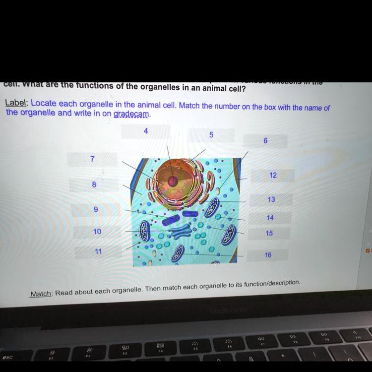 SOLVED: 'Answer the question please it’s 50 or 25 points ...