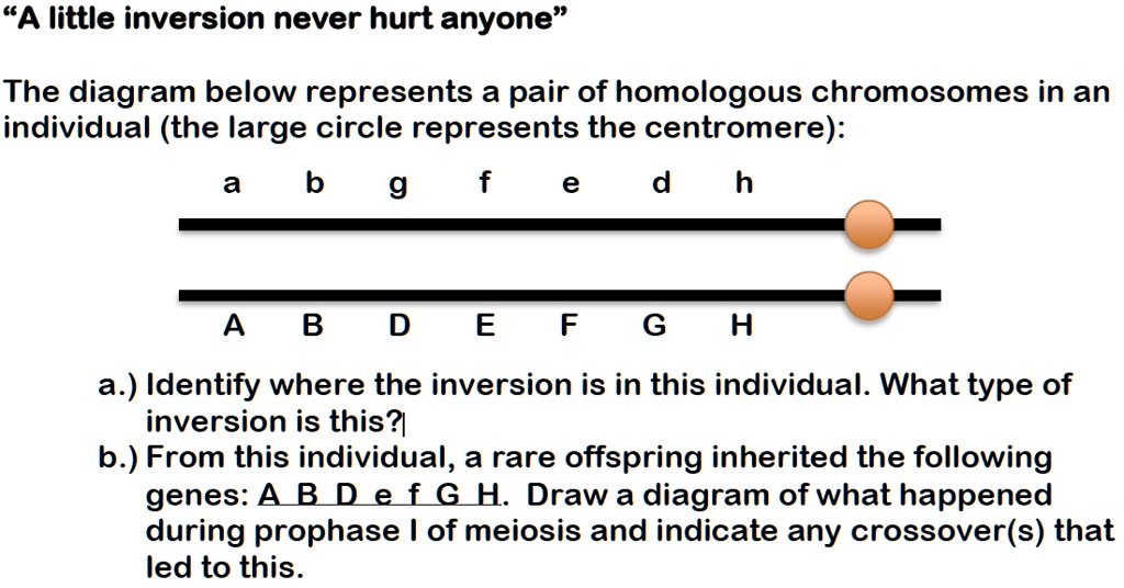 a little inversion never hurt anyone the diagram below represents a ...