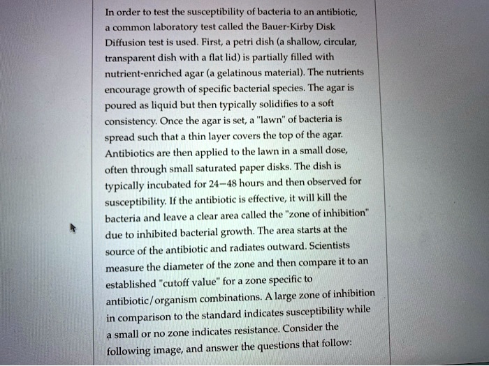 SOLVED In order to test the susceptibility of bacteria to an