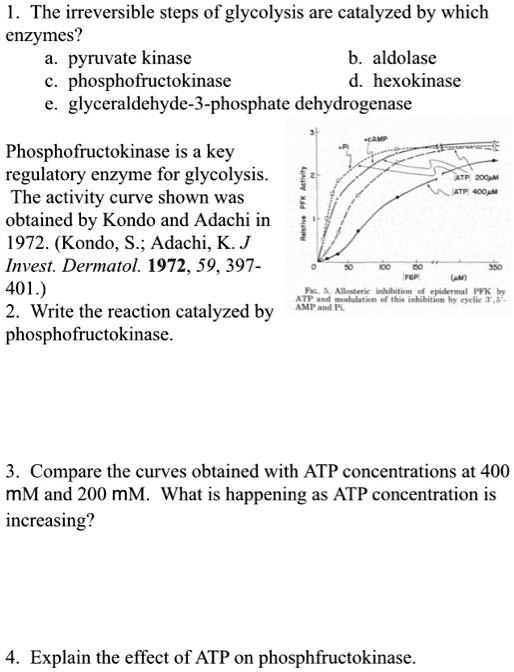 SOLVED The irreversible steps of glycolysis are catalyzed by which