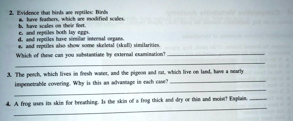 SOLVED: 2. Evidence that birds are reptiles: Birds have feathers which