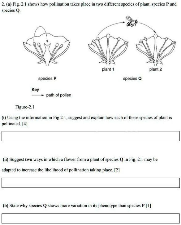 Flower Pollination Gizmo Quiz Answers Best Flower Site