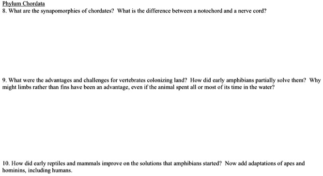 SOLVED: Phylum Chordata: What are the synapomorphies of chordates? What