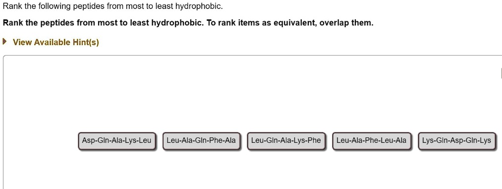 rank the following peptides from most to least hydrophobic rank the