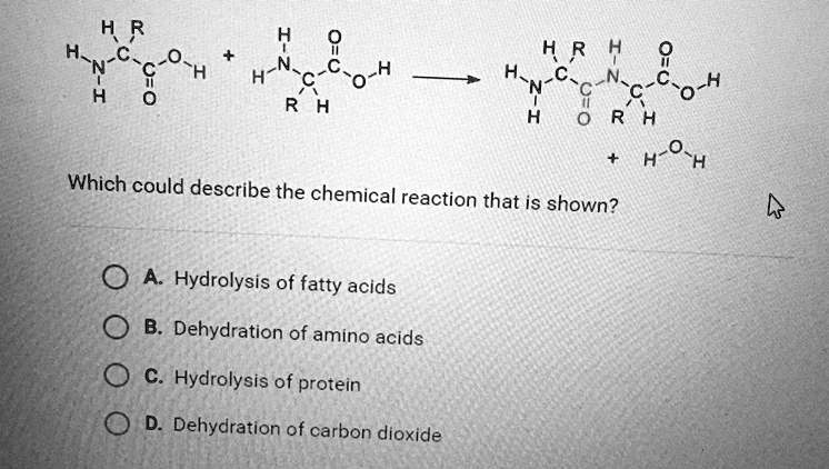 SOLVED: 'Which Could Describe The Chemical Reaction That Is Shown? A ...