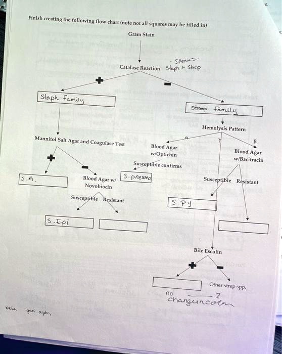 solved-finish-creating-the-following-flow-chart-note-not-all-squares-may-be-filled-in-gram