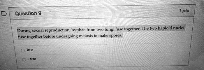 SOLVED: 1 Pts Question 9 Sexual Reproduction Hyphae From Two Fungi Fuse ...