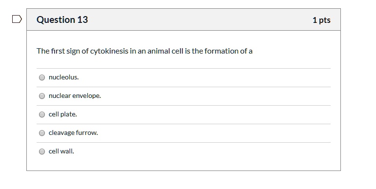 The first sign of cytokinesis in an animal cell is the formation of a

nucleolus.
nuclear envelope.
cell plate.
cleavage furrow.
cell wall.