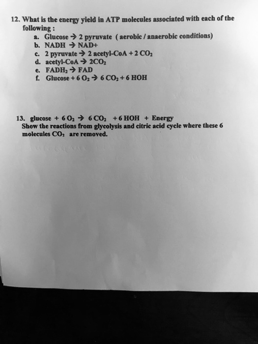 solved-12-what-is-the-energy-yield-in-atp-molecules-associated-with