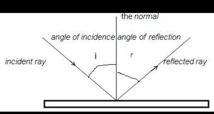 From the diagram, which of the following is correct? I will give you 30 ...