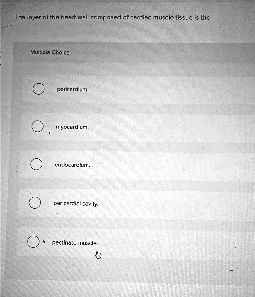 SOLVED The layer of the heart wall composed of cardiac muscle tissue
