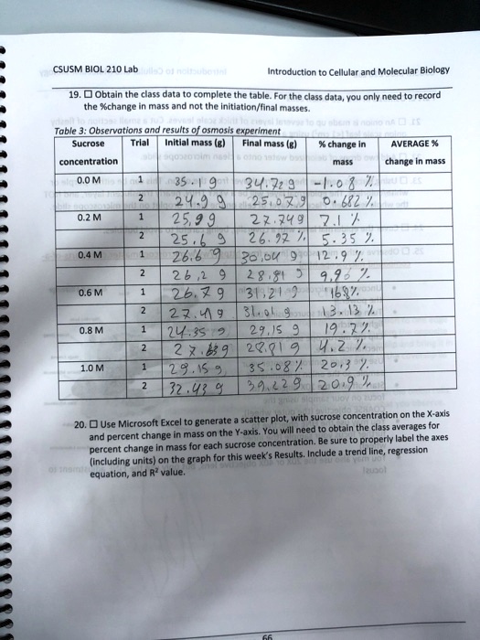 csusm biol 210 lab introduction cellular and molecular biology obtain the class data compicte thetable for the class data you only need record the change mass and not he initiatlonlina miese 17418
