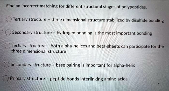 Find an incorrect matching for different structural stages of polypeptides.
Tertiary structure - three dimensional structure stabilized by disulfide bonding
Secondary structure - hydrogen bonding is the most important bonding
Tertiary structure - both alpha-helices and beta-sheets can participate for the three dimensional structure
Secondary structure - base pairing is important for alpha-helix
Primary structure - peptide bonds interlinking amino acids