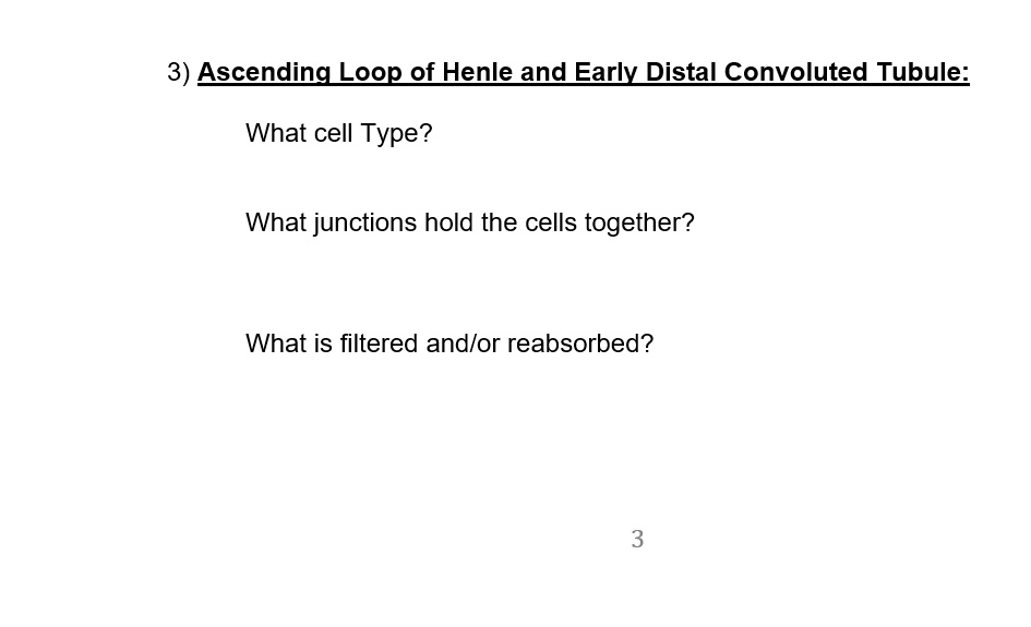 SOLVED: 3) Ascending Loop of Henle and Early Distal Convoluted Tubule ...