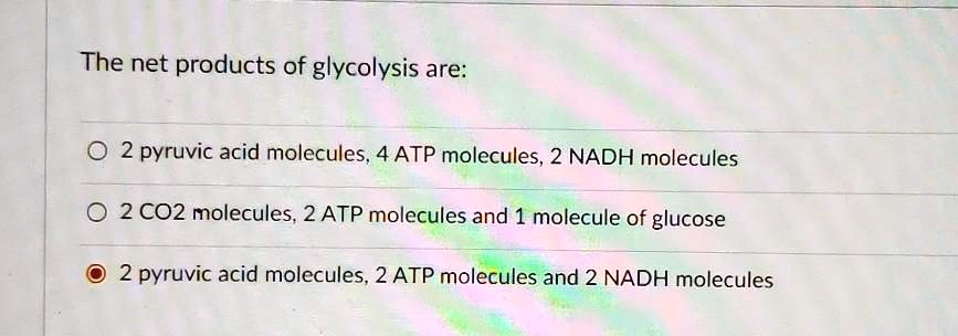 The net products of glycolysis are:
2 pyruvic acid molecules, 4 ATP molecules, 2 NADH molecules
2 CO2 molecules, 2 ATP molecules and 1 molecule of glucose
2 pyruvic acid molecules, 2 ATP molecules and 2 NADH molecules