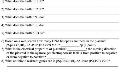 1) What does the buffer PI do? 2) What does the buffer P2 do? 3) What ...