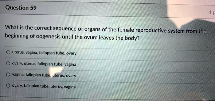 What is the correct sequence of organs of the female reproductive system from the beginning of oogenesis until the ovum leaves the body?

uterus, vagina, fallopian tube, ovary
ovary, uterus, fallopian tube, vagina
vagina, fallopian tube, uterus, ovary
ovary, fallopian tube, uterus, vagina