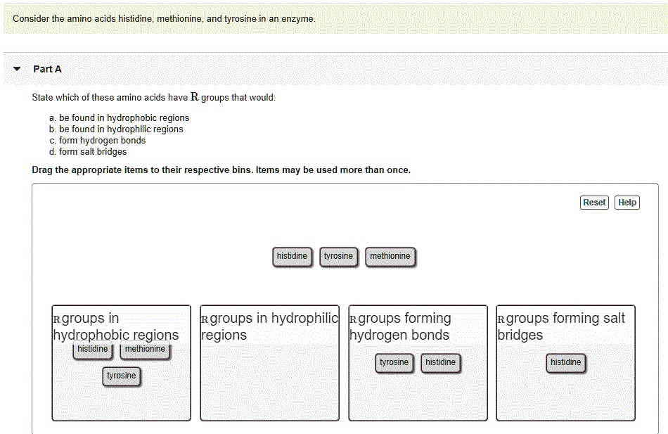 SOLVED: Consider the amino acids histidine, methionine, and tyrosine in ...