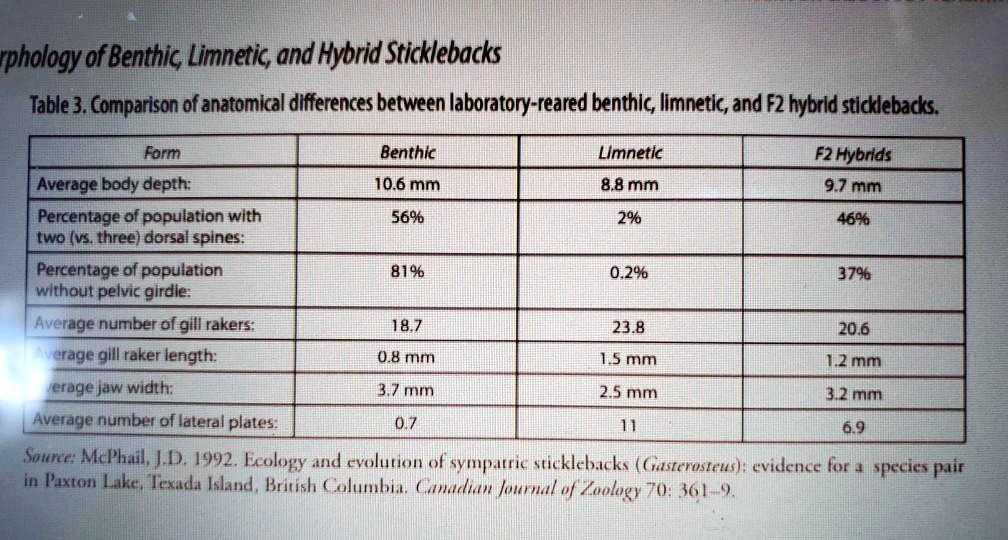 SOLVED Morphology Of Benthic Limnetic And Hybrid Sticklebacks Table SOLVED Morphology Of Benthic Limnetic And Hybrid Sticklebacks Table