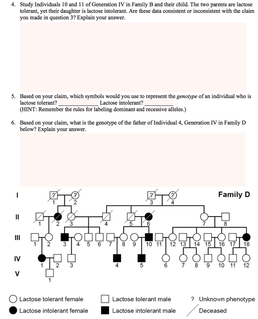 SOLVED Study Individuals 10 and 11 of Generation IV in Family B and their child The two parents