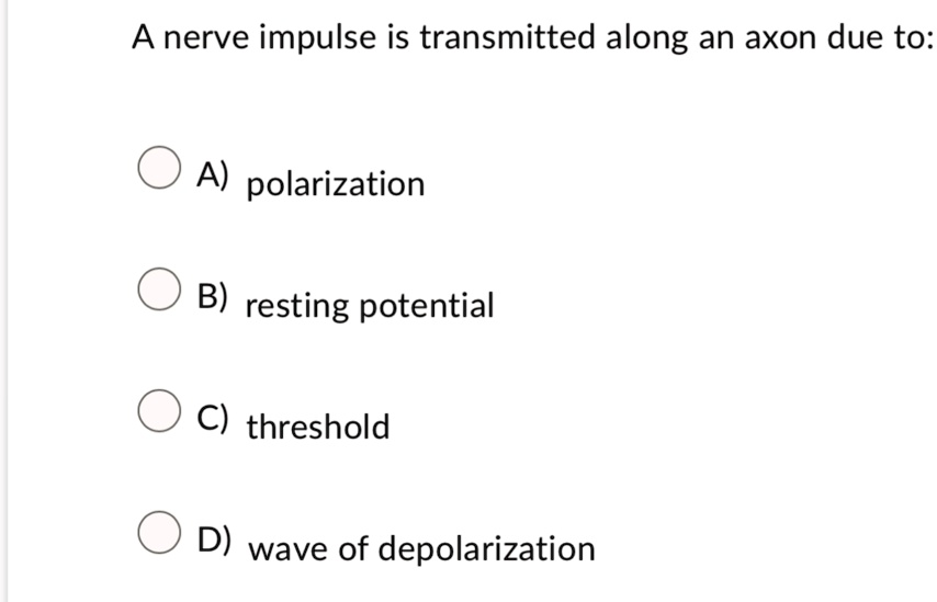 SOLVED A nerve impulse is transmitted along an axon due to A) polarization B) resting potential