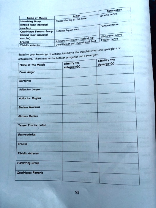 SOLVED Innervation Sciatic nerve Action Name of Muscle Hamstring
