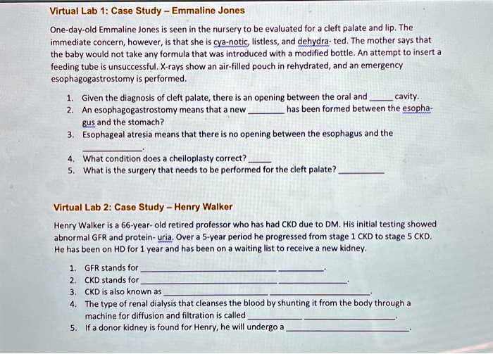 solved-virtual-lab-1-case-study-emmaline-jones-one-day-old-emmaline