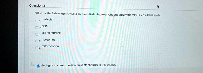 Which of the following structures are found in both prokaryotic and eukaryotic cells. Select all that apply.
a. nucleoid
b. DNA
c. cell membrane
d. ribosomes
e. mitochondria