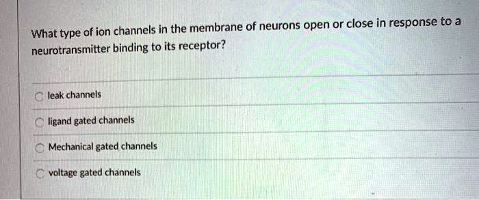 What type of ion channels in the membrane of neurons open or close in response to a neurotransmitter binding to its receptor?
leak channels
ligand gated channels
Mechanical gated channels
voltage gated channels