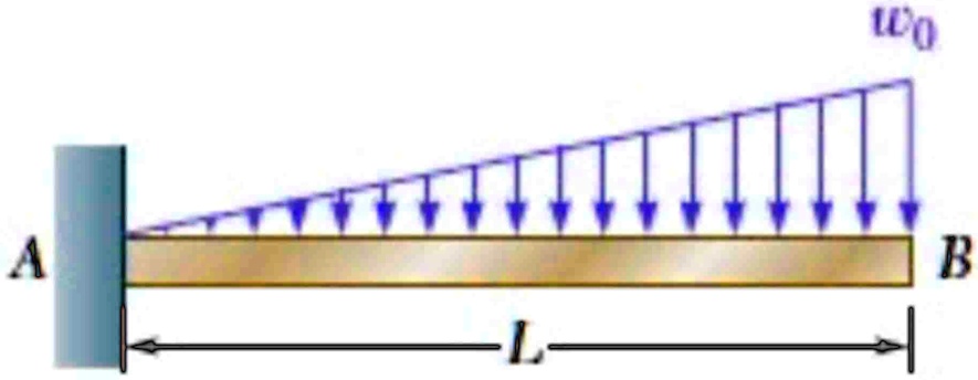ain the grid space sketch the free body diagram fbd showing the ...