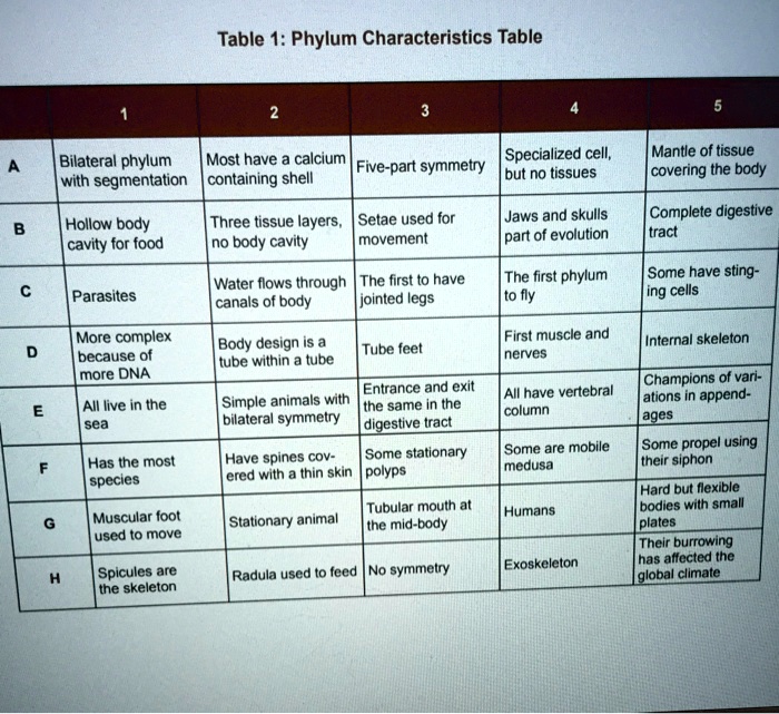 SOLVED: Table 1: Phylum Characteristics Table Bilateral phylum. Most