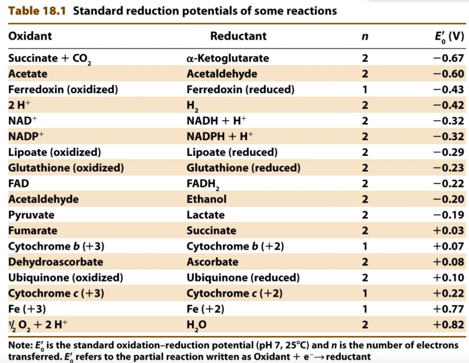 glutathione redox potential Frontiers main image 1