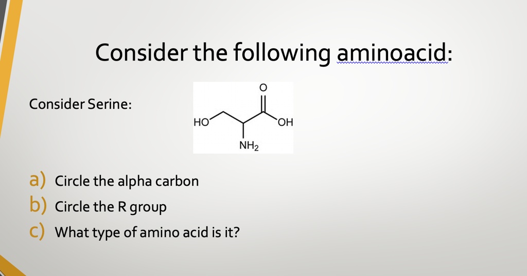 SOLVED Consider the following amino acid Consider Serine HO OH NH2 a) Circle the alpha carbon