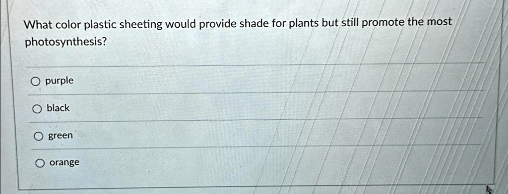 what color plastic sheeting would provide shade for plants but still promote the most photosynthesis purple black green orange 06011
