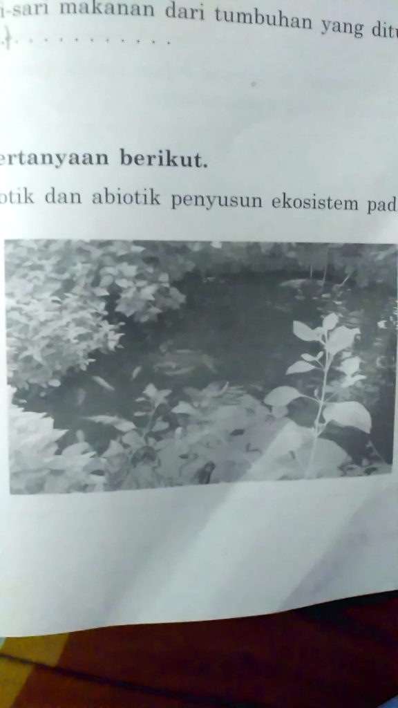 Solved Tuliskan Komponen Biotik Dan Abiotik Penyusun Ekosistem Pada