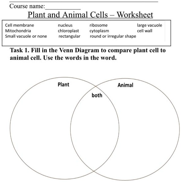 SOLVED: Course name: Plant and Animal Cells-Worksheet Cell membrane ...