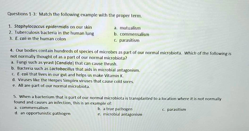 SOLVED: Questions 1-3: Match the following example with the proper term ...