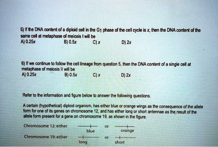 5 if the dna content of a dipkid cell in the g1 phase of the cell cycle ...