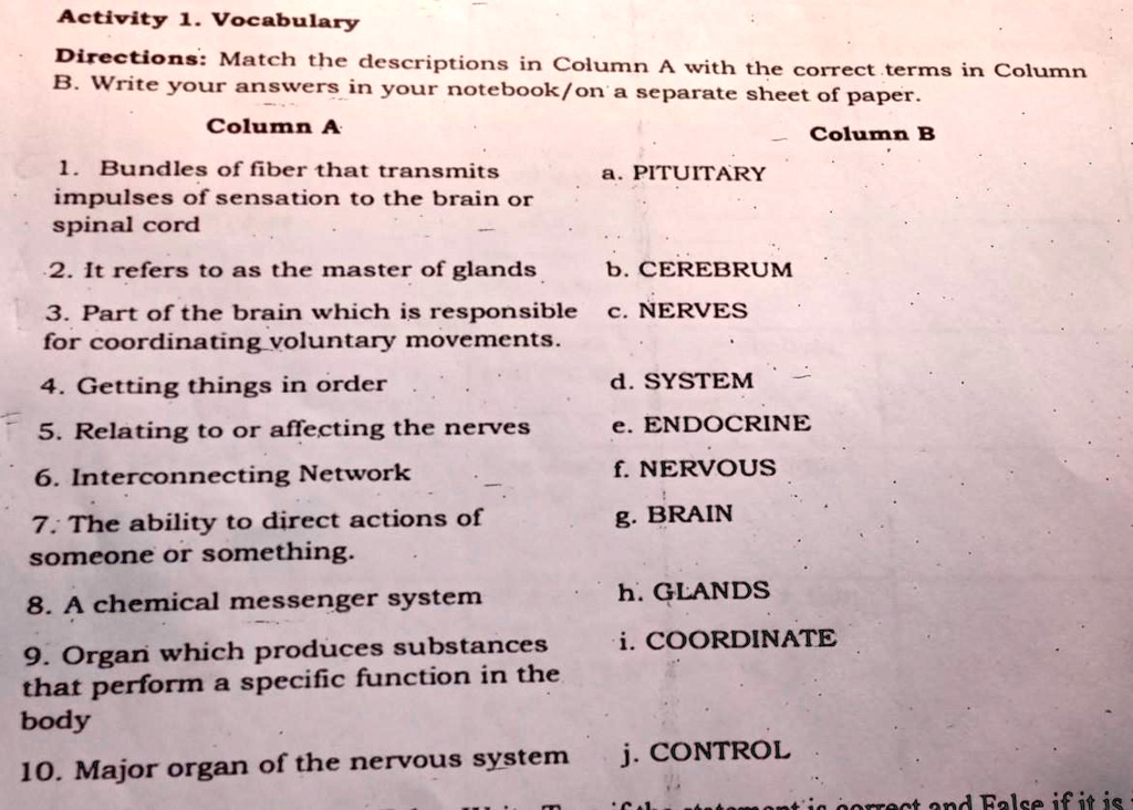 Activity 1. Vocabulary
Directions: Match the descriptions in Column A with the correct terms in Column
B. Write your answers in your notebook/on a separate sheet of paper.
Column A
1. Bundles of fiber that transmits
impulses of sensation to the brain or
spinal cord
2. It refers to as the master of glands
3. Part of the brain which is responsible
for coordinating voluntary movements.
4. Getting things in order
5. Relating to or affecting the nerves
6. Interconnecting Network
7. The ability to direct actions of
someone or something.
8. A chemical messenger system
9. Organ which produces substances
that perform a specific function in the
body
10. Major organ of the nervous system
Column B
a. PITUITARY
b. CEREBRUM
c. NERVES
d. SYSTEM
e. ENDOCRINE
f. NERVOUS
g. BRAIN
h. GLANDS
i. COORDINATE
j. CONTROL