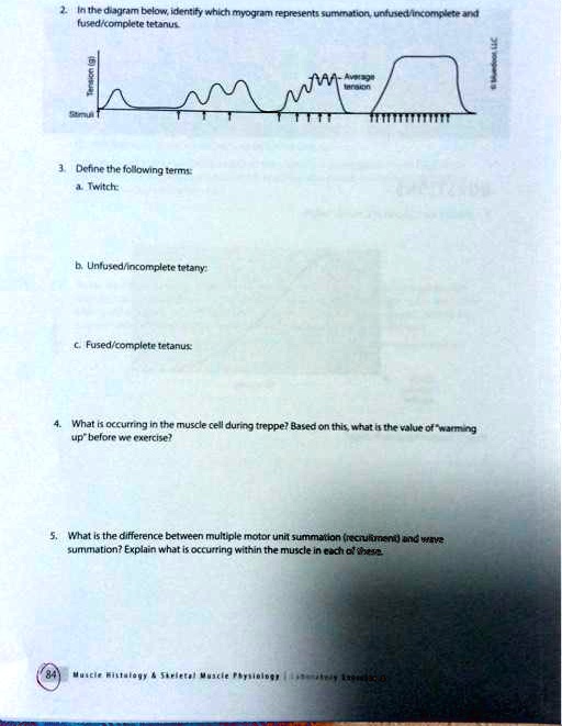 SOLVED In the diagram below, identify which myogram represents